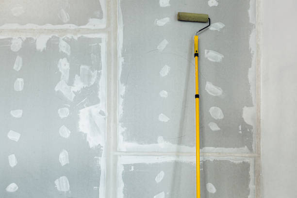 Best Drywall Crack Repair  in Sandersville, GA